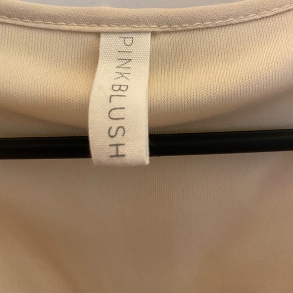 Pinkblush Maternity Dress - Picture 4 of 4